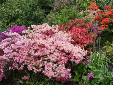 ��� �������� ������������ � ��� ���, ����� ��� �������� ������� ���