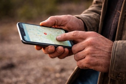 � ��������� ����������� �������� ����� �������� � ������� ������ ���������