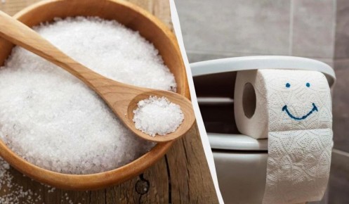 ��� ������������ ���� ��� ������ ������� � ��������: �������� ������