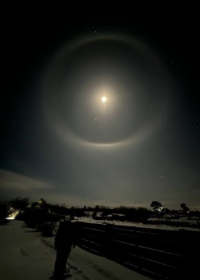 ������ ����. ����: @Polinka_Yanakova @ampravda