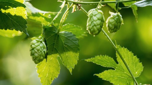 �������� ����� � ������� ��� ������ � �����������: �� ������� �� ���������