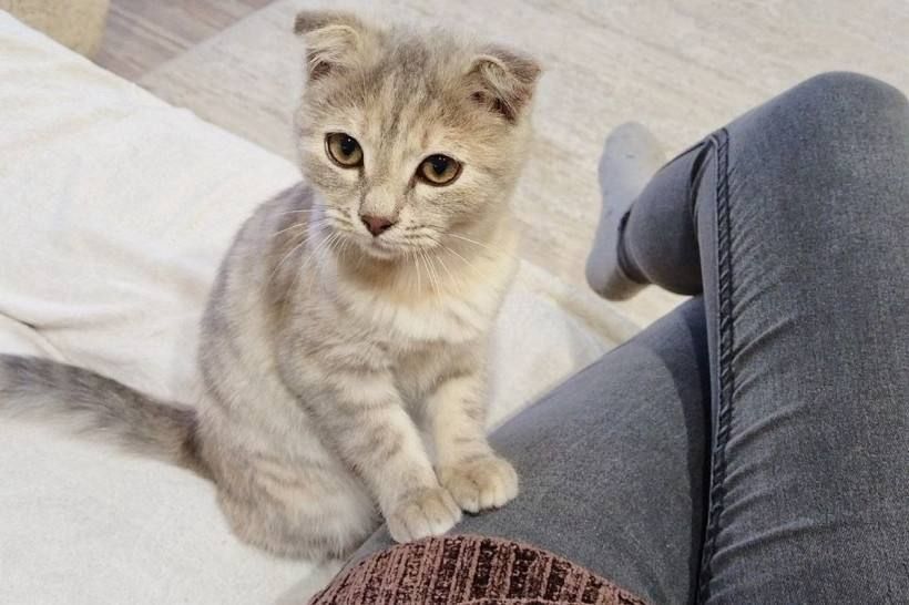 ����� ������������ ���������� ��� �������� ��������� � �������������