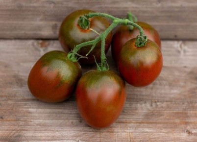 ����������� ��������: ������������ ���� � ����� �������� �������