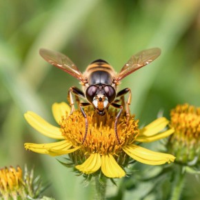 ����� ����: ��� ��������� ���������� �� �� �� ����� �������