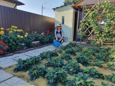 ��� ��������� ��������� �� ��������� ����� ����� ������: ������ � ������������