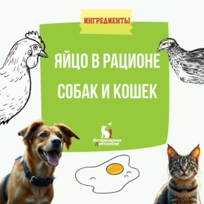 ������ � ����� ��� ��� ������������ ������