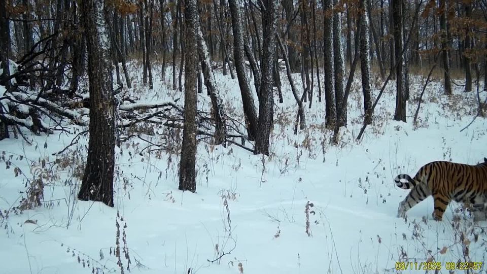 ���������� ���������� �������� ����� ������� ����� �������� ����� ������� �����������