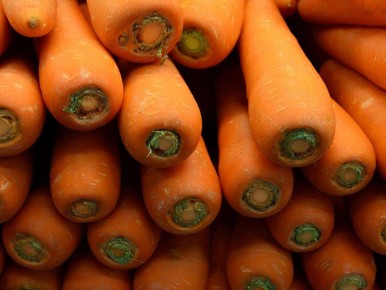 ��� ��������� �������� ������� ��� ������� ������