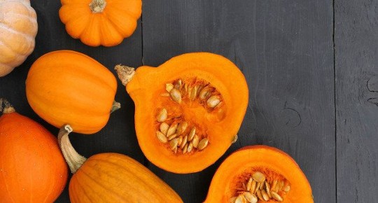 �����: ���� � ������, ��� ������� � �������