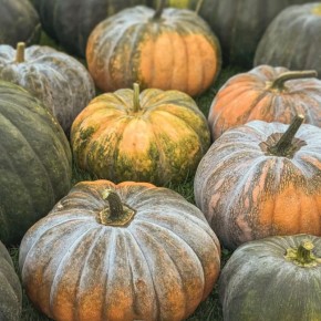 ����� ��� �����: �������� ����� � ��������� ��������