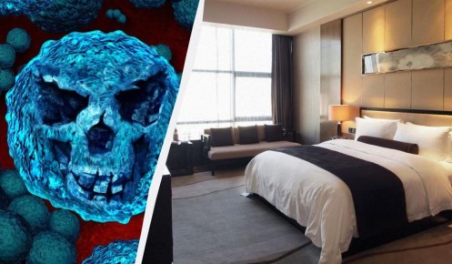 Опасные соседи: какие предметы в гостиницах становятся рассадниками микробов