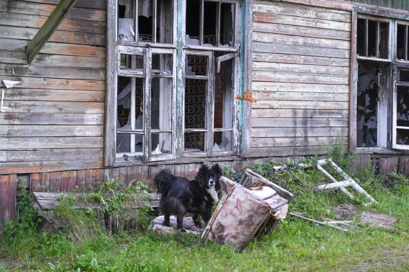 ������ ������� ����� ���: � �������� ������� �� ��� �������� ����� 2,7 ������ ��������� ��������