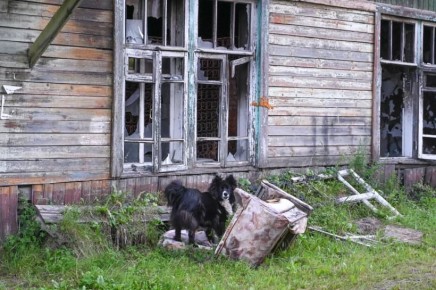 ������ ������� ����� ���: � �������� ������� �� ��� �������� ����� 2,7 ������ ��������� ��������