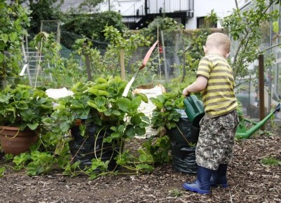 ����������� ��������� �� �����: ������ ��������� ������