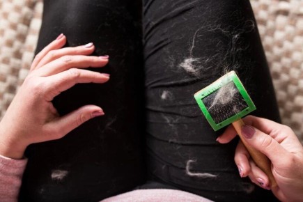 ��� ����� ���������� �� ������ �������� �������� �� ������