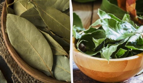 �������� ����: ������ ��� ������ ����������� �� �����