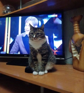 ����: ���� ����� ���� ���������� ����?�