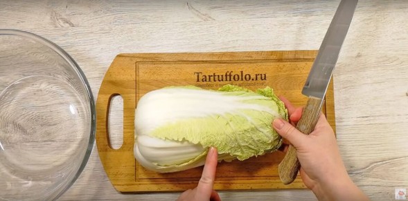 ������ ������� � ��������: ������ � ������