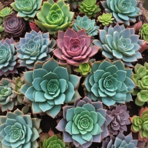 ����������: ������������ �������� ��������� � �������� ������