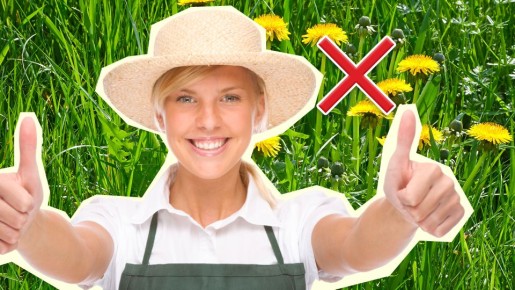 ������ �������� �� �������� ��� ����: ��������� ��� ������ ������ ���� ������