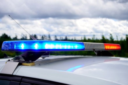 43-������ ������ ����� ������� ��������� ��������� �� ���������� ��� �� ����������� �������