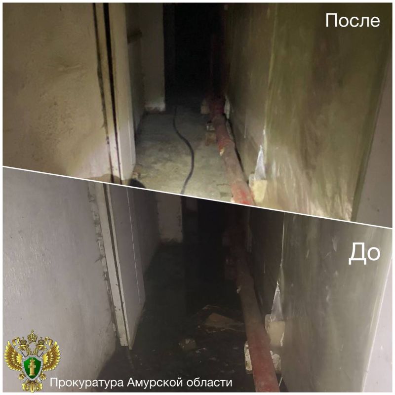 ����� ������������� ����������� � ����� �� ����� ������ ����� ������������� ����� ������� ���������������� ����, ������������ �� ������ �����������