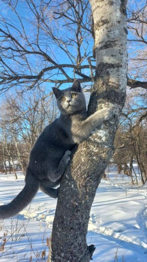 ����� ������! ��� ���� ���������