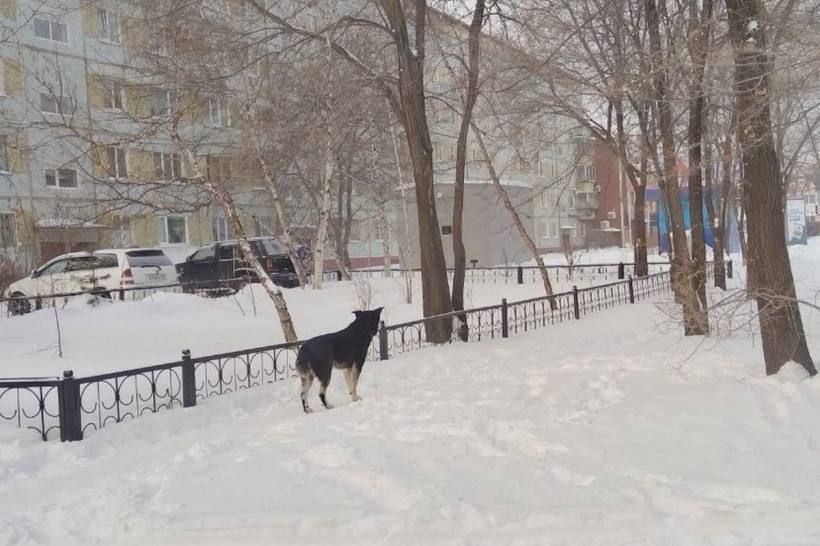 ����� ����� ��������� ������� ������� �� ������ ��������� � �� ������ ������ ������������ ����