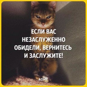 ��������� ��-�� �����. ������ �������� ������������ ���������� ������������� ������ ������� �� �������� ������ � ������� ��� ����� ����������