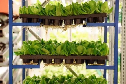 � �������� ������ ����� ��������� �������