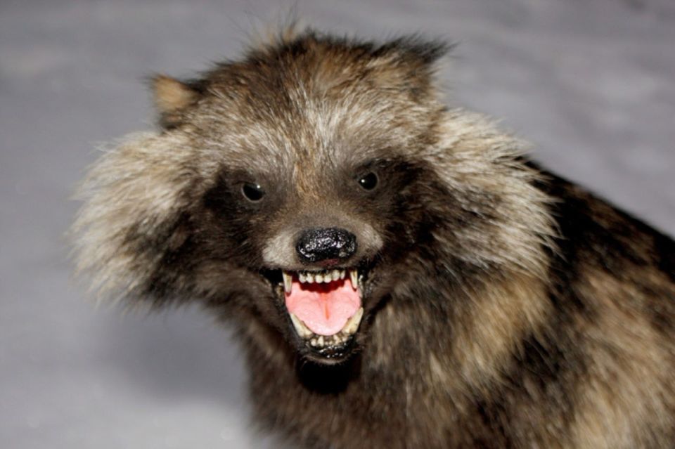 � ���������� � ���������. �������������� ����������� ������� ������� � ����������� ������, ������������ � ����������