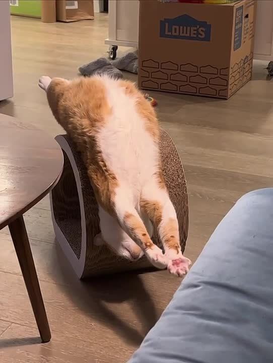 ������ ��� �� �������.... #����