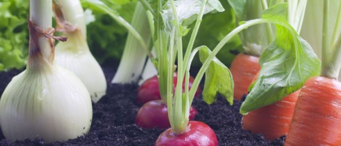 ������� � ������ ���� �������: ������� �������� ��������� ������� ��� ������ ����