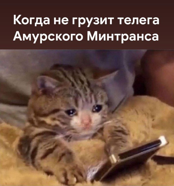 �� ������� ���� �������� ��������� ������� �������� ��������: