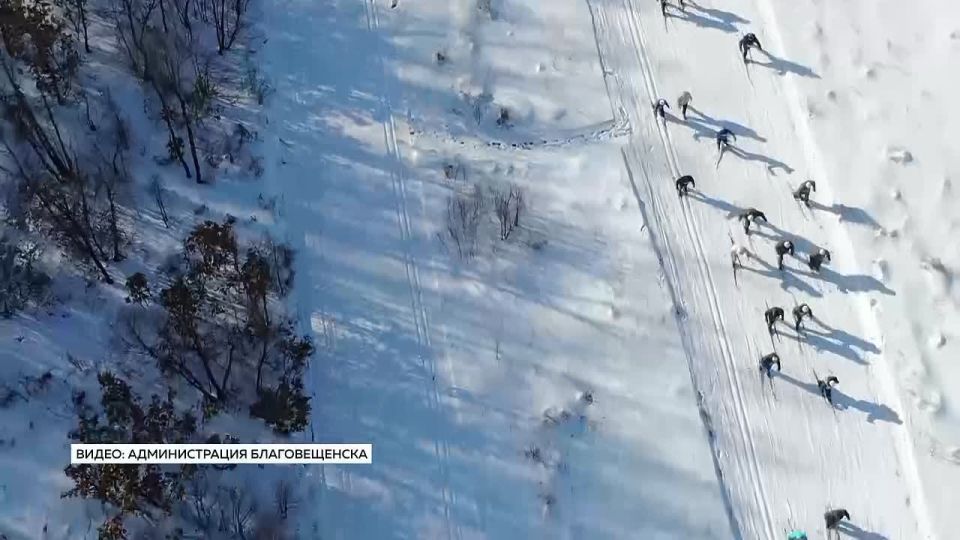 ����� ���� ����� ������� ������� ������� � ����� ������ ������