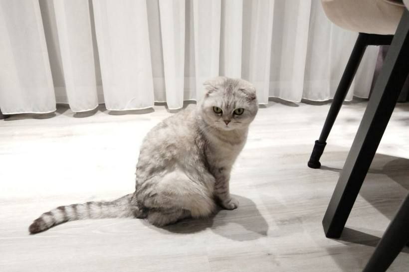 ������ �������� ������� � ������ ���� �� ������� ������������� ����� 90 ����� ��������