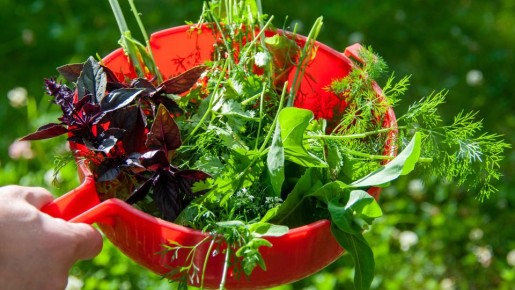 �� ����� ������ ������ ��� � ������� ����� ��������: �� ����� ��������