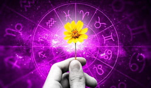 ��� ����� ������� ������� ������������ ������� � �����