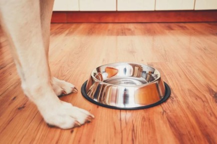 �������� � ���: ��� ������ ������ �������