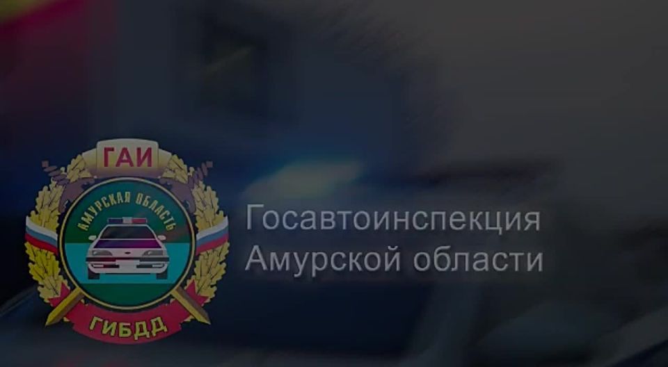 ������������ ������� ��������������� �������������� �������-������������� ������������, ������������� 12 ������� �� �������� ���������� ����������� ���� � ������������� ������