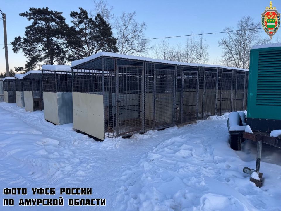 � ��������� ��������� � �������� ���������� ������ ��� ������������ �������� � ���������� ���������� ��������� ���� � ������� �������� �������