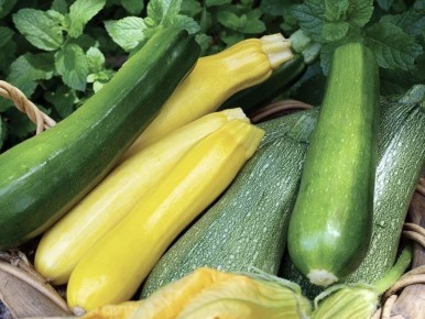 �������: �������� ���� ��� ������� ����������� � ������?