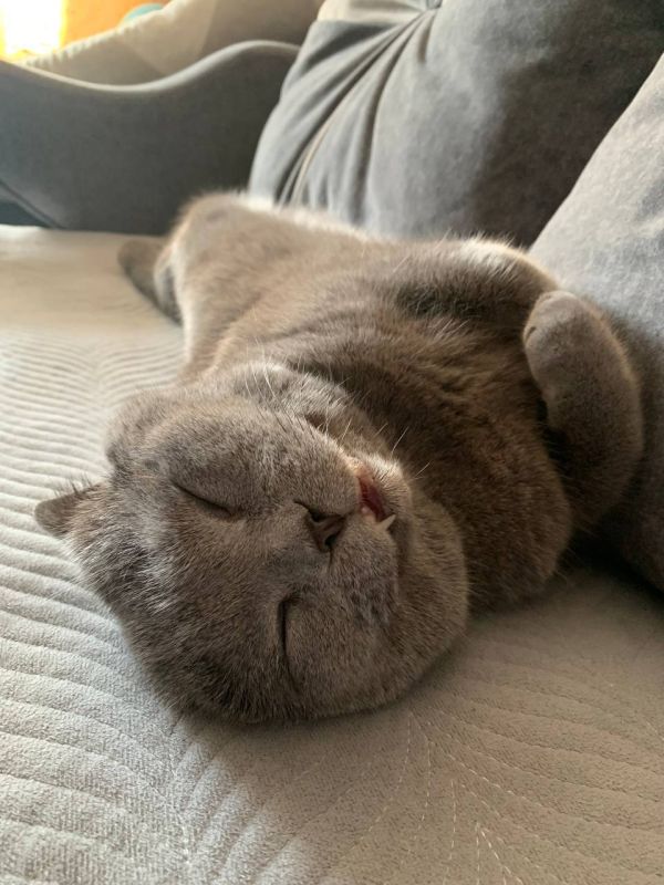 ���������. �������� ��� �� ��������� @ampravda