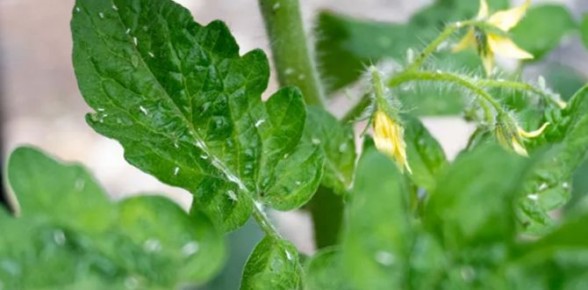 ������� ������ �������: ��� �������� ���������� � ��������� ������