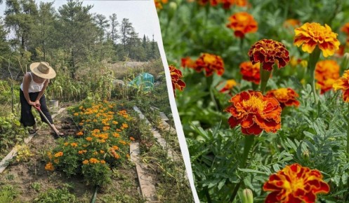 ��� ������� �������� �� ����: 4 ������ ������� �������� �� � �������