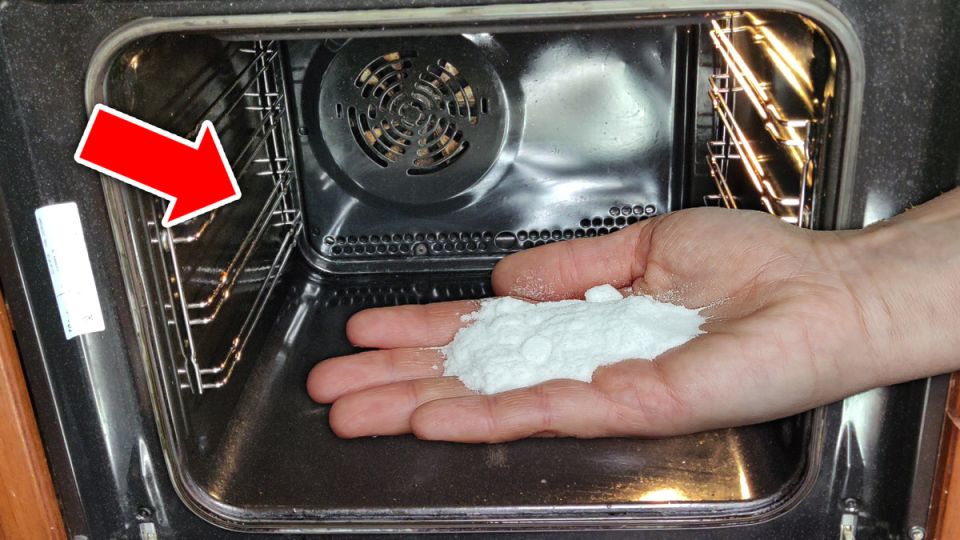 ������ �������: ������� ���� � ���������� ����������