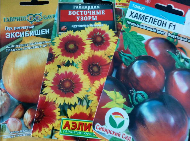 Когда лучше всего приобретать семена?