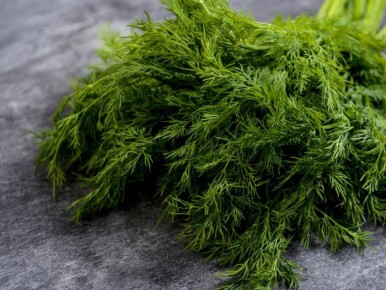 ������ ����� � �������� �� ������ ��������: ������� ��������� �����������