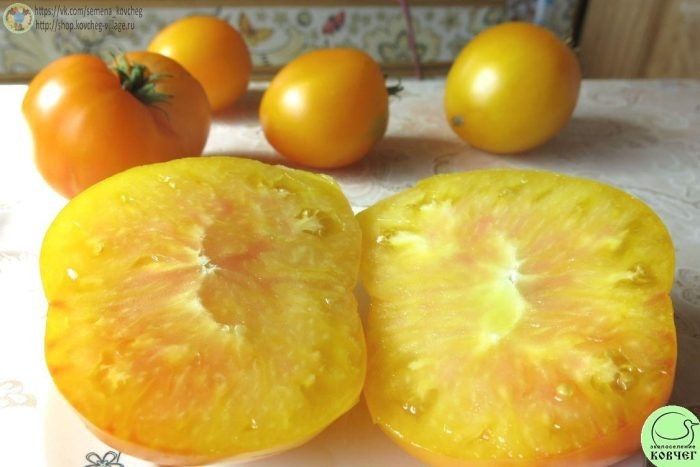 ����� ��������: ��������� ����� ��� ���������