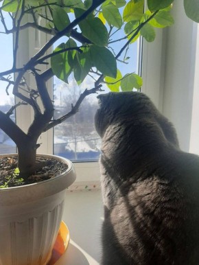 �� ��� �� ���, �����?. �������� ��� �� ��������� @ampravda